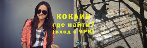 ALPHA PVP Новозыбков