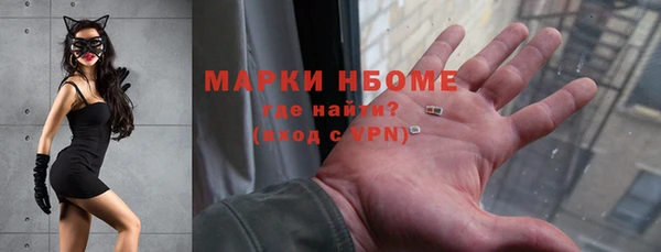 стафф Новокубанск