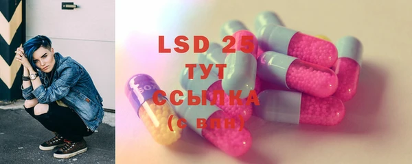 стафф Новокубанск