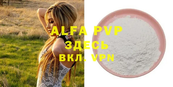стафф Новокубанск