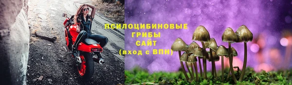каннабис Новодвинск
