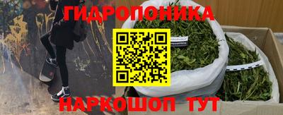 герыч Бийск