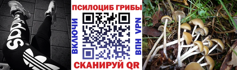 Галлюциногенные грибы мицелий  Иваново 