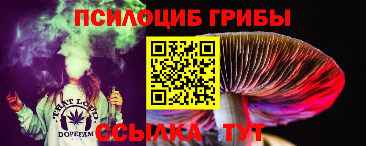 Иваново  Псилоцибиновые грибы GOLDEN TEACHER  Вход с VPN 