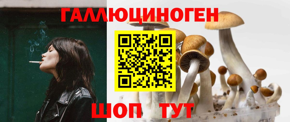 Псилоцибиновые грибы Psilocybe Иваново
