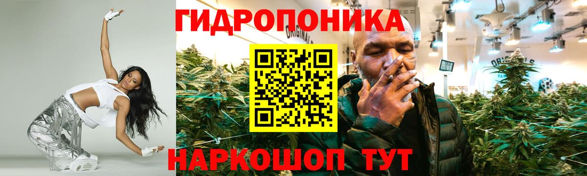 Бошки Шишки Amnesia Иваново